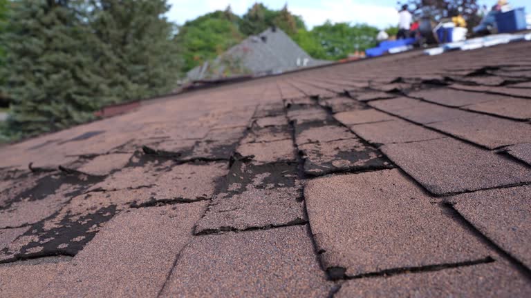 Roof Insulation in Knollwood, IL