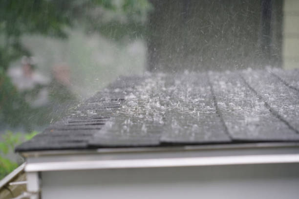 Best Gutter Installation and Repair  in Knollwood, IL